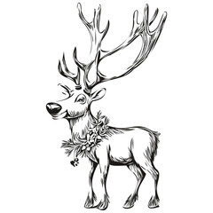 Hand Drawn Christmas Reindeer, deer Sketch Vintage Engraving, black white isolated Vector ink outlines template for greeting card, invitation