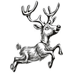 Hand Drawn Christmas Reindeer, deer Sketch Vintage Engraving, black white isolated Vector ink outlines template for greeting card, poster, invitation, logo