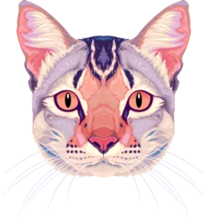 Poster Im Rahmen Cat frontal view, vector isolated animal. © ddraw
