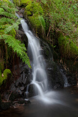 Small waterfall with vegetation around. Silk effect
