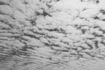 altocumulus stratiformis translucidus clouds