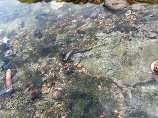Promenade bord de l’eau