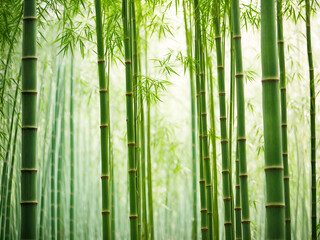 A row of bamboo stalks of varying heights