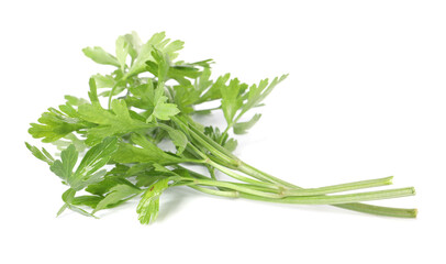 Sprigs of fresh green parsley leaves isolated on white