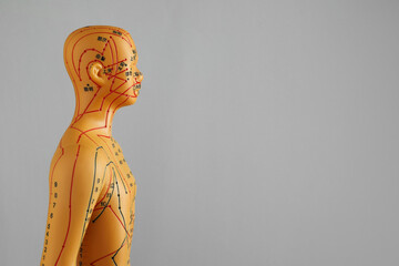 Acupuncture model. Mannequin with dots and lines on grey background, space for text