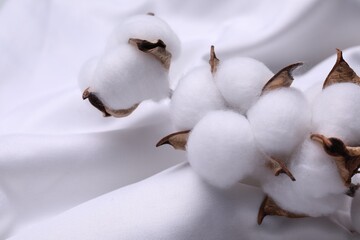 Cotton branch with fluffy flowers on white fabric, closeup