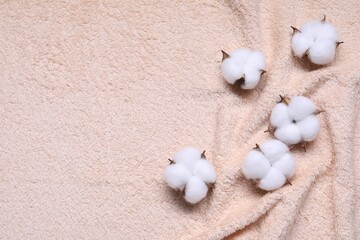 Fluffy cotton flowers on beige terry towel, top view. Space for text