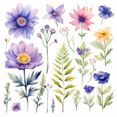 Watercolor flower clipart