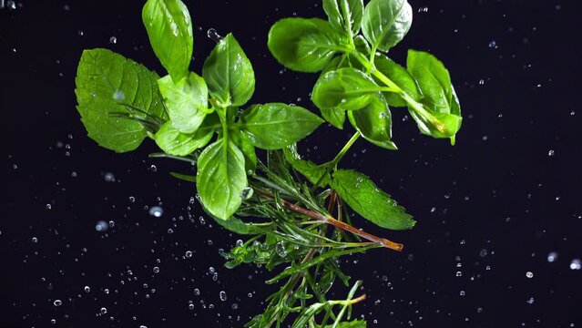 Herbs spice explodes closeup in super slow motion 1000fps