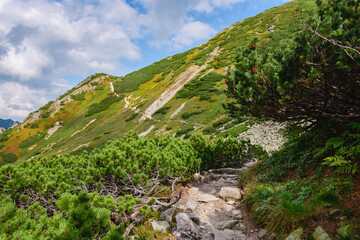 Fototapeta na wymiar Polish Tatra Mountains, high mountain hiking trail leading to mountain peaks, mountain landscape with valleys and slopes, view on a sunny summer day.Rocky blue mountain trail through mountain slopes.