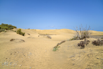 Fototapeta na wymiar Landschaft mit Sanddünen auf der Insel Gran Canaria