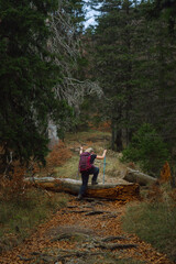 Fototapeta premium Eine Wanderin kletter über einen umgestürzten Baum