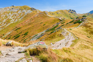 Polish Tatra Mountains, high mountain hiking trail leading to mountain peaks, mountain landscape with valleys and slopes, view on a sunny summer day.Red trail to the peak of Kasprowy Wierch.