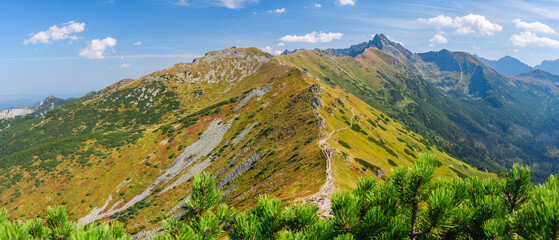 Polish Tatra Mountains, high mountain hiking trail leading to mountain peaks, mountain landscape with valleys and slopes, view on a sunny summer day. - obrazy, fototapety, plakaty