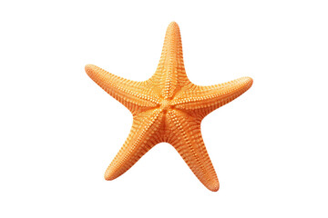 Underwater Majesty starfish isolated on transparent background