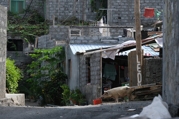 Street life on Fogo Cabo Verde