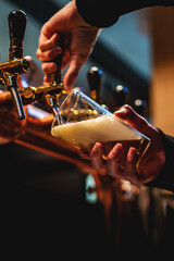 man bartender hand at beer tap pouring beer in glass in bar or pub