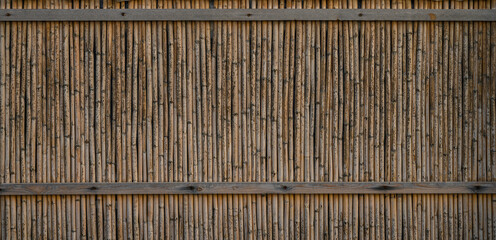 reed partition as a background 3