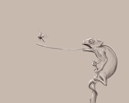 Hand drawn illustration of a chameleon 