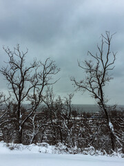 View of the coastal zone of the sea on a cloudy winter day