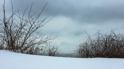 Fototapeta premium Sky, sea and snow-covered shore