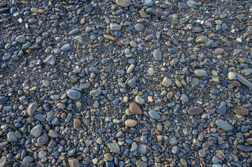 sea ​​pebbles on the sand of the beach 4