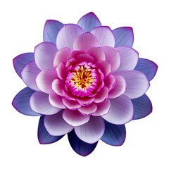 Lotus flower isolated on transparent background