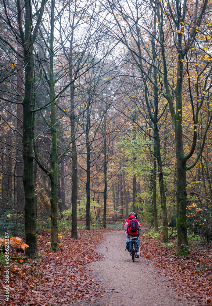 Wall mural man on bicycle in fall forest between colorful leaves