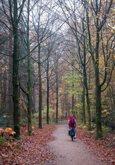 man on bicycle in fall forest between colorful leaves