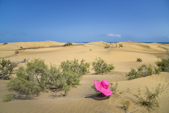 Landschaft mit Dünen und Büschen auf der Insel Gran Canaria