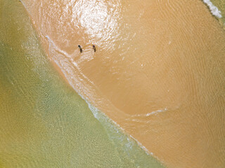Fototapeta premium Aerial view of Waves crashing on sandy shore,Sea surface ocean waves background,Top view beach background