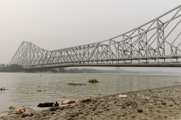 bridge over the river