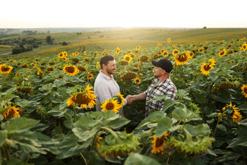 Agribusiness. Two smiling young farmers shaking hands and making advantageous business deal in blooming sunflowers field on summer. Teamwork of business partners. Concept of organic agriculture.