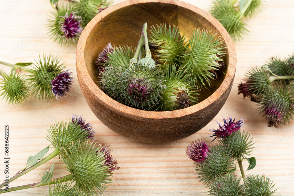 Wall mural burdock plant with flowers