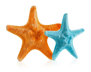 two starfish isolated on a white background