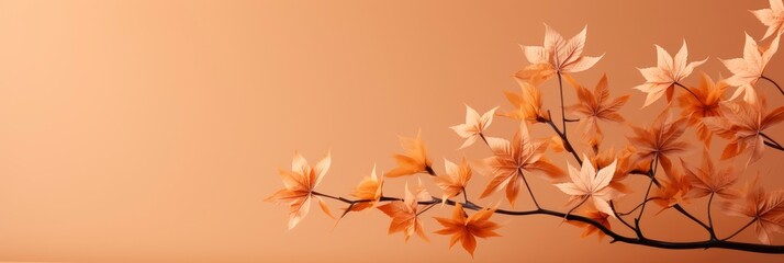 Thanksgiving Autumn Decoration Concept Made Leaves , Banner Image For Website, Background, Desktop Wallpaper