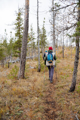 Obraz premium A man travels through the forest in the company of friends, mountain hiking on rough terrain, outdoor recreation in the autumn forest.