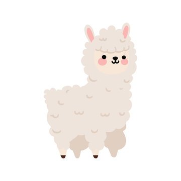Cute llama or alpaca adorable cartoon