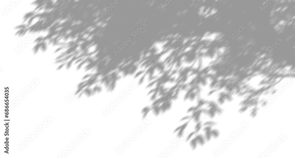 Poster eco shadow shade tree branches blur movement on transparent backgrounds 3d render png