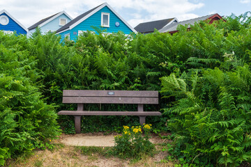  A wooden bench surrounded by bracken in front of beach huts on Mudeford Sandbank, Hengistbury Head, UK