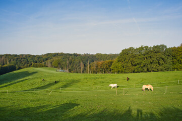 colorful autumnal landscape in October