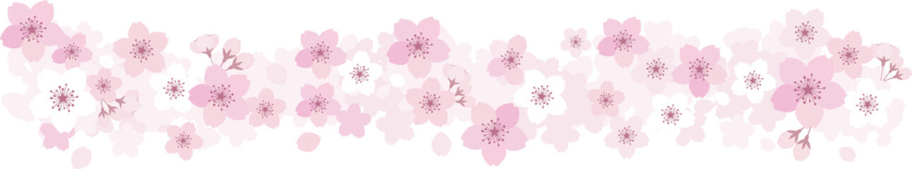 桜の背景フレーム　桜の花の線 - obrazy, fototapety, plakaty