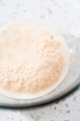 Homemade naan dippers