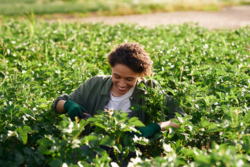 Smiling female farmer on field during harvesting. Agricultural occupation concept