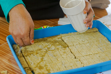 Women hand watering Rockwool for hydroponic seedlings.