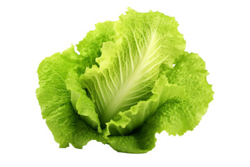 Green fresh lettuce isolated on white background, close up view.generative ai