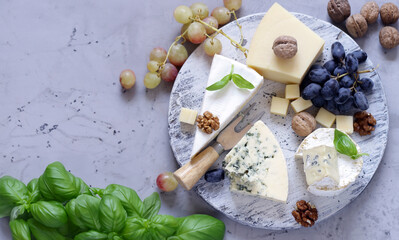 cheese board soft cheese, nuts and grapes