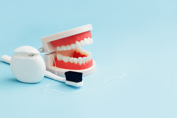 Model of jaw, dental floss, tooth brush on blue background, dental hygiene concept with copy space