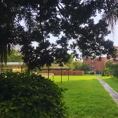 Pakistani Universities are Beautiful: They Have Greenery and Nature Views That Look Amazing.