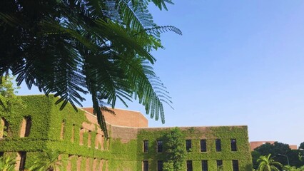 Pakistani Universities are Beautiful: They Have Greenery and Nature Views That Look Amazing.